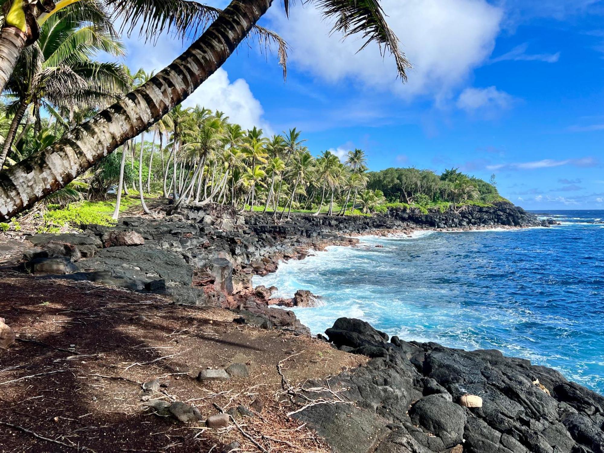 The Bali House And Cottage At Kehena Beach Hawaii Eksteriør billede